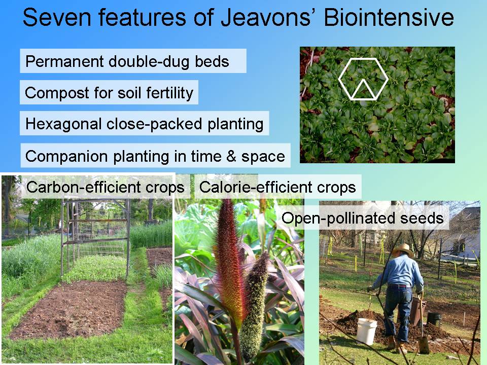 Seven features of Jeanons biointensive